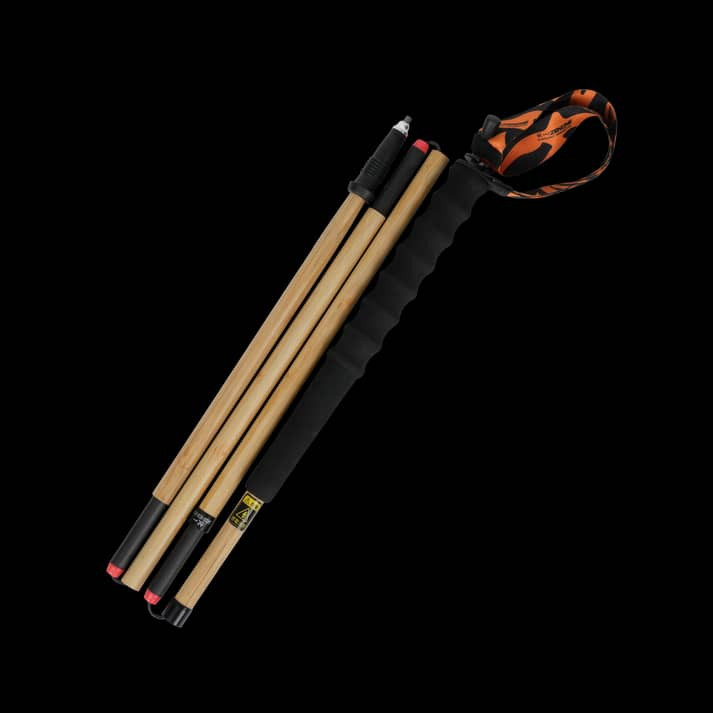 Zenone Poles